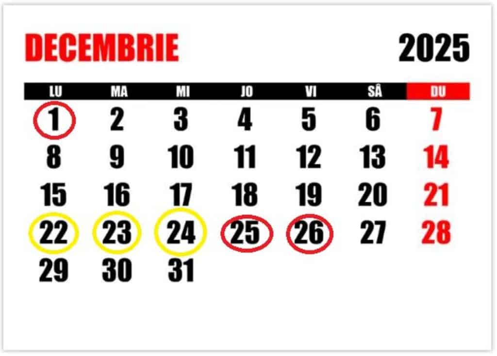 DECEMBRIE idei