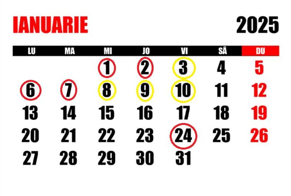 zile-libere-2025-black-friday-oficial